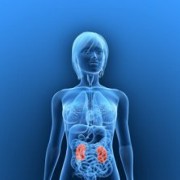 Kidney Failure related image